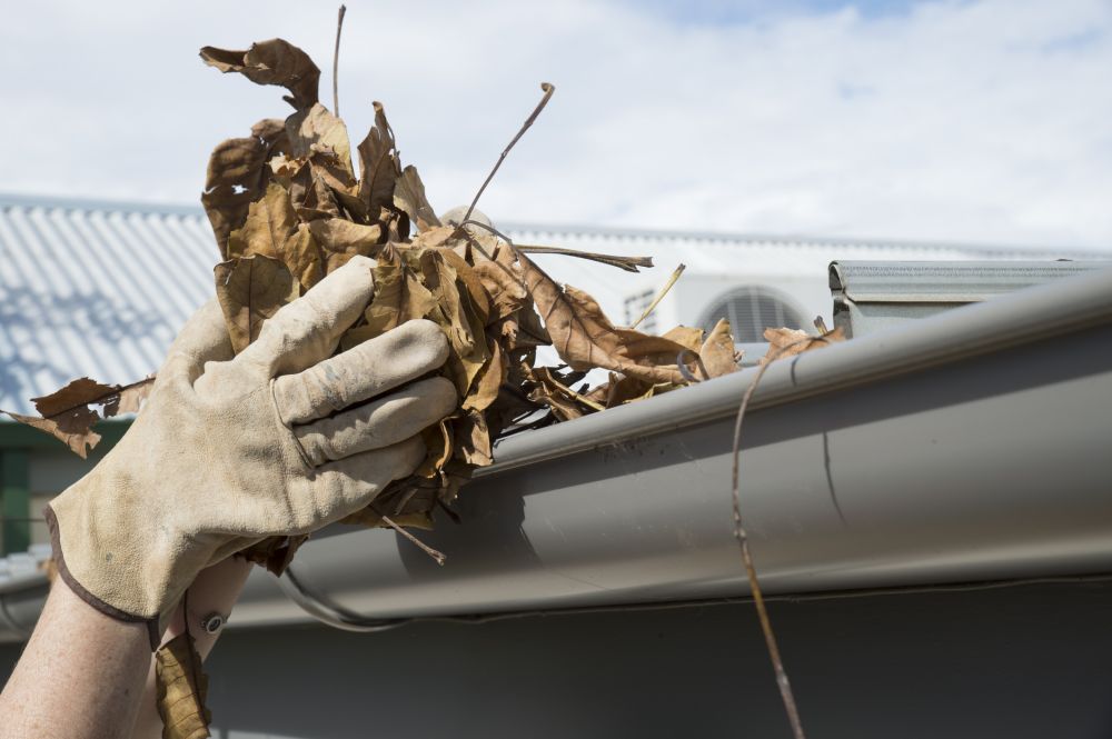 Gutter Leaf Removal