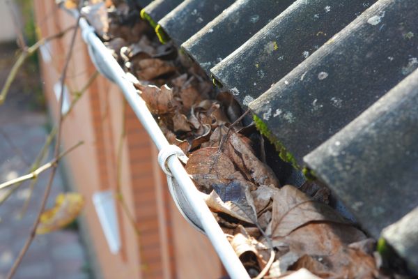 Home Gutter Cleaning