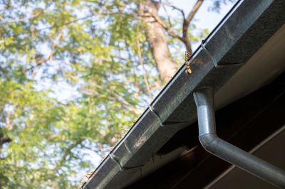 Inspecting Gutter Systems
