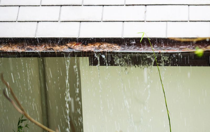 Clogged Gutters