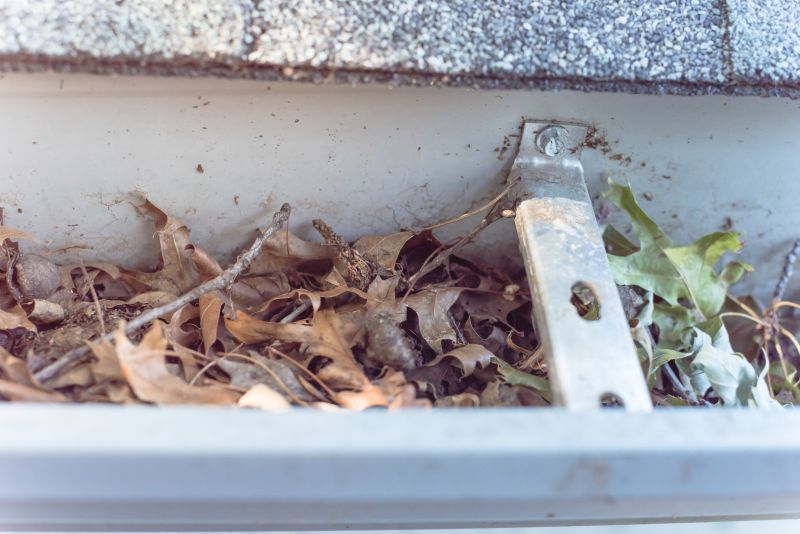 Clogged Gutter Debris
