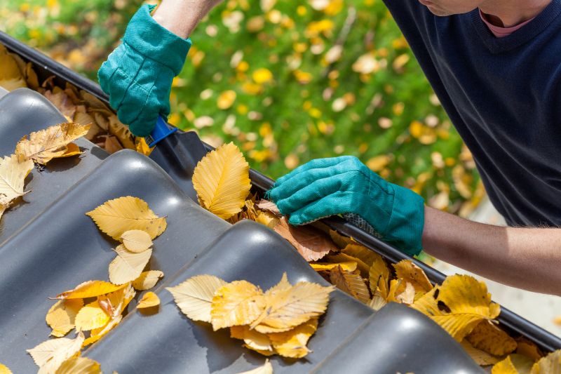 Gutter Leaf Clearing