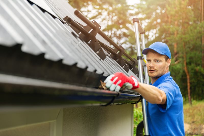Gutter Cleaning project example