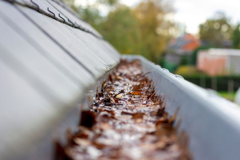 Commercial Gutter Cleaning project example