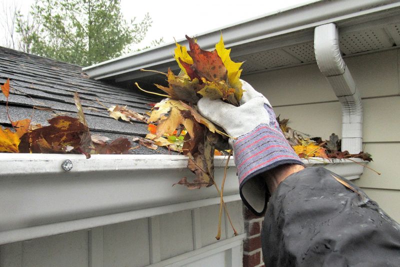Who Does Gutter Cleanings